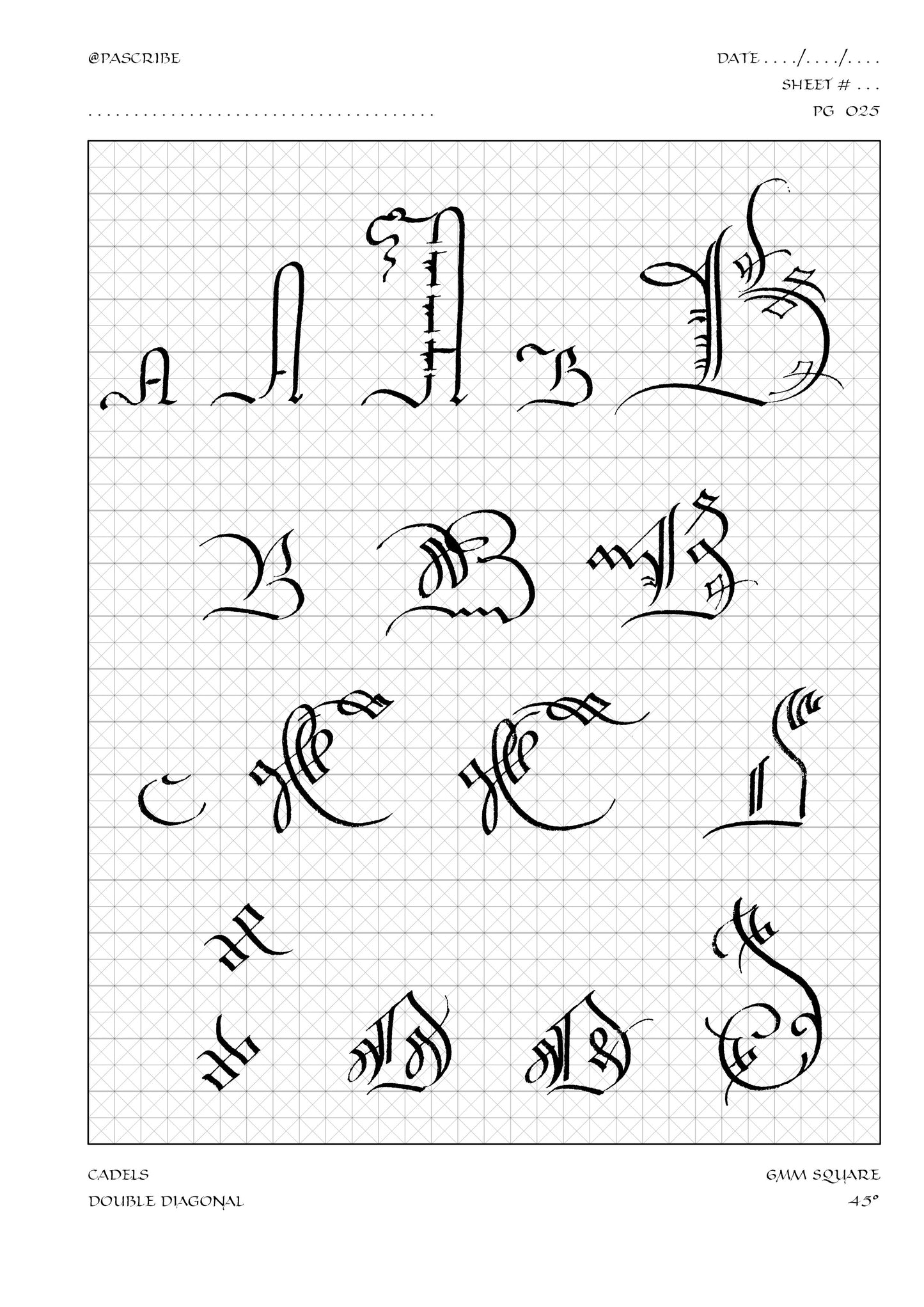 PAScribe - Cadels - Handouts & Grids - Broad Edged
