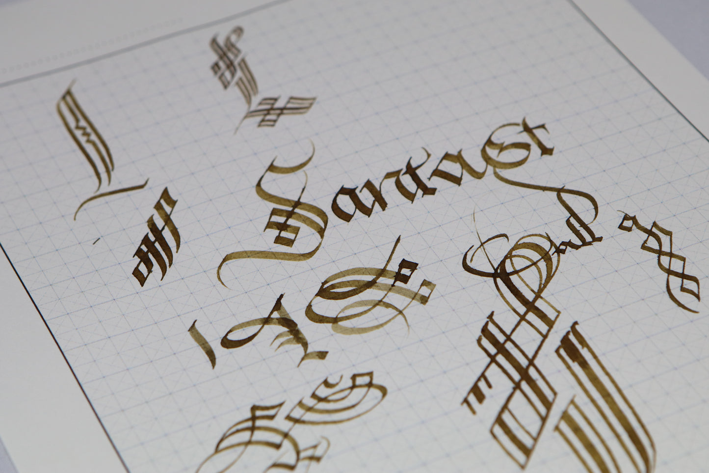 PAScribe - Cadels - Handouts & Grids - Broad Edged