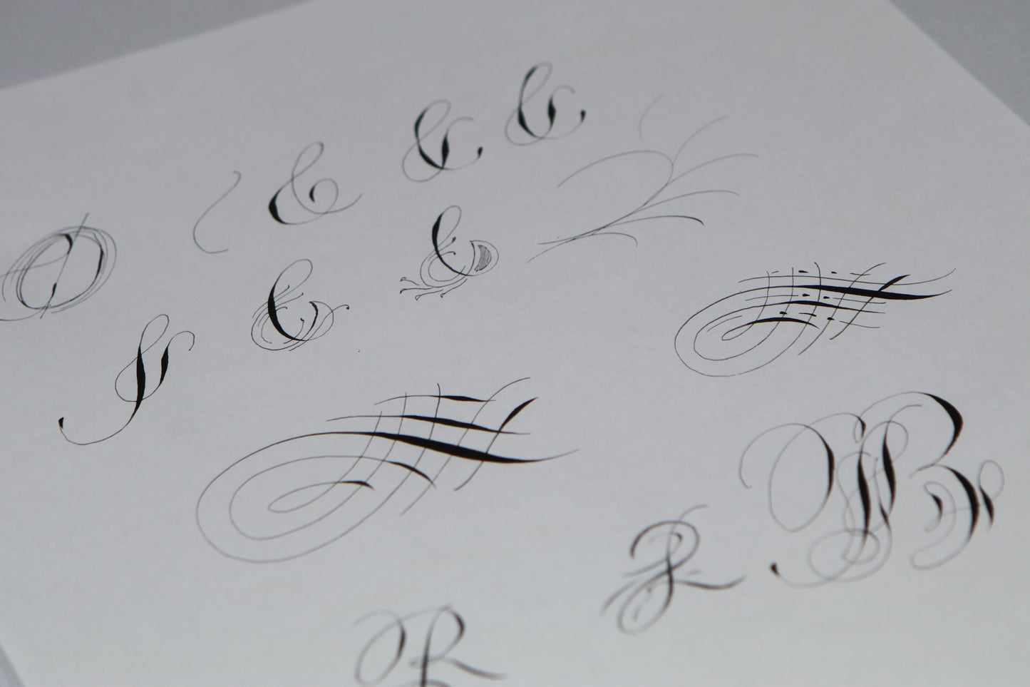 PAScribe - Flourishing - Handout & Grids
