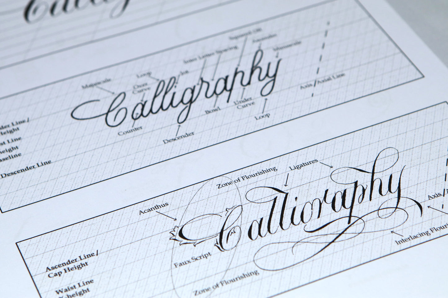 PAScribe - Copperplate Script - Worksheets & Grids - Nib & Ink