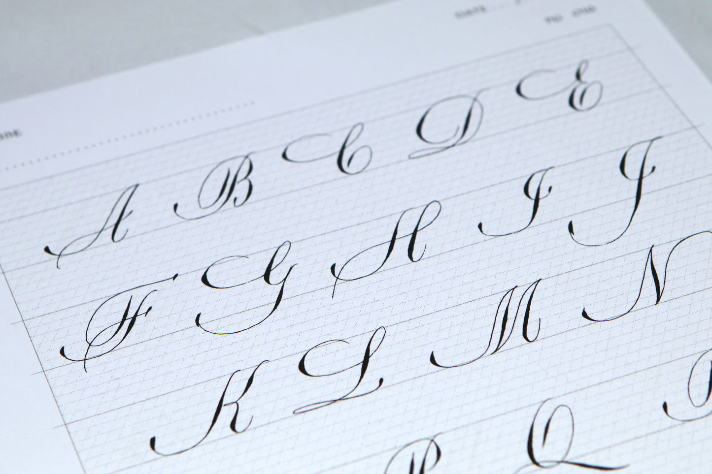 PAScribe - Copperplate Script - Worksheets & Grids - Nib & Ink