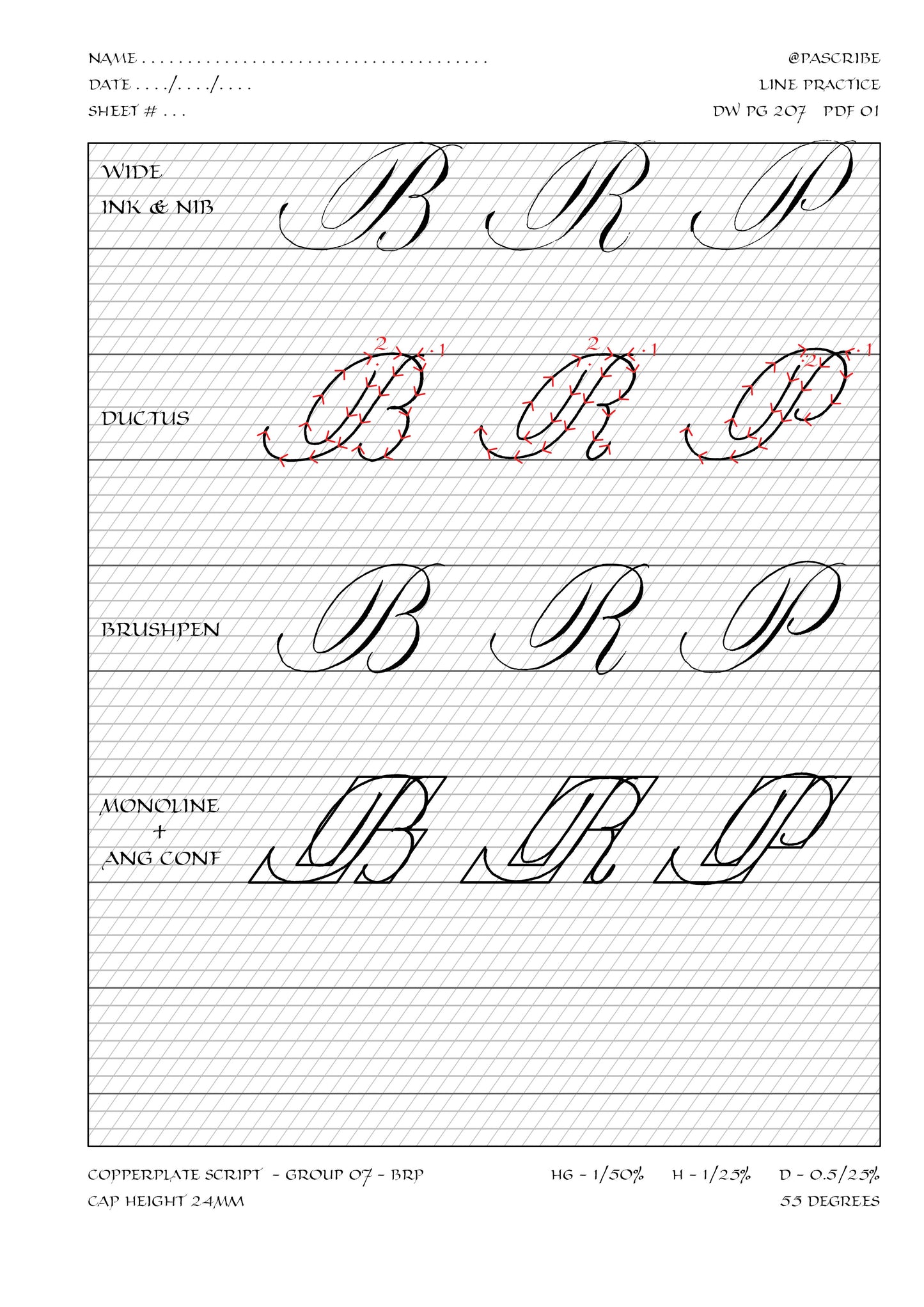 PAScribe - Copperplate Script - Workbook Majuscules for Right Handers